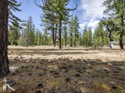 2520 Blitzen Road, South Lake Tahoe, CA 96150 Photo