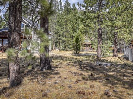 2520 Blitzen Road, South Lake Tahoe, CA 96150 Photo