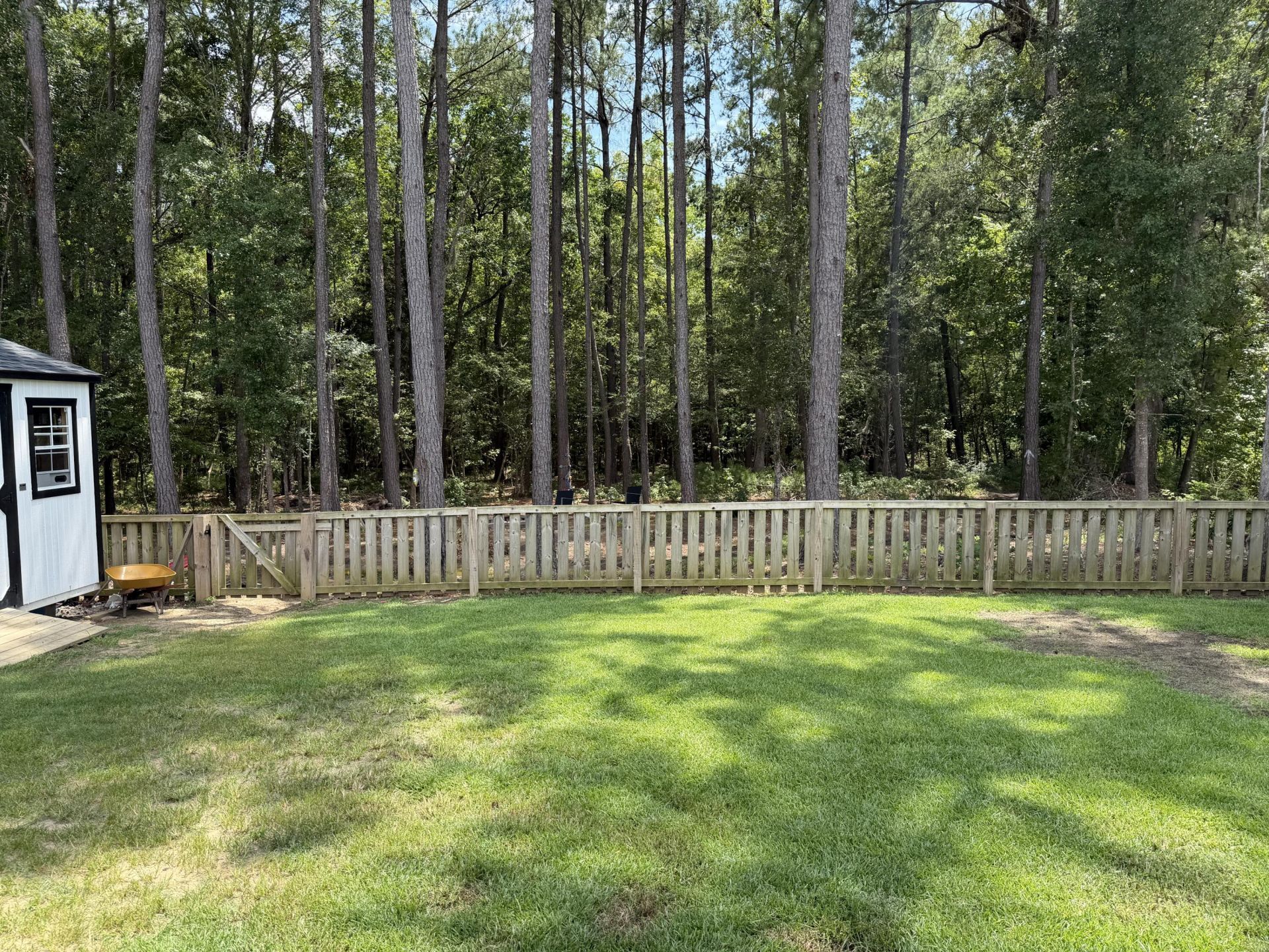 381 Spruce Ivy Street Photo 19