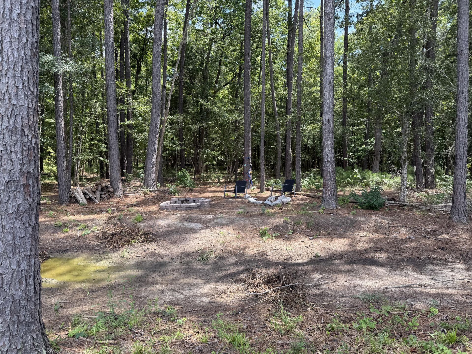 381 Spruce Ivy Street Photo 21
