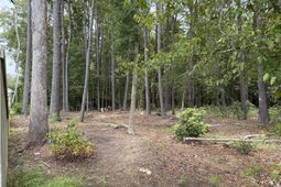 381 Spruce Ivy Street photo 4
