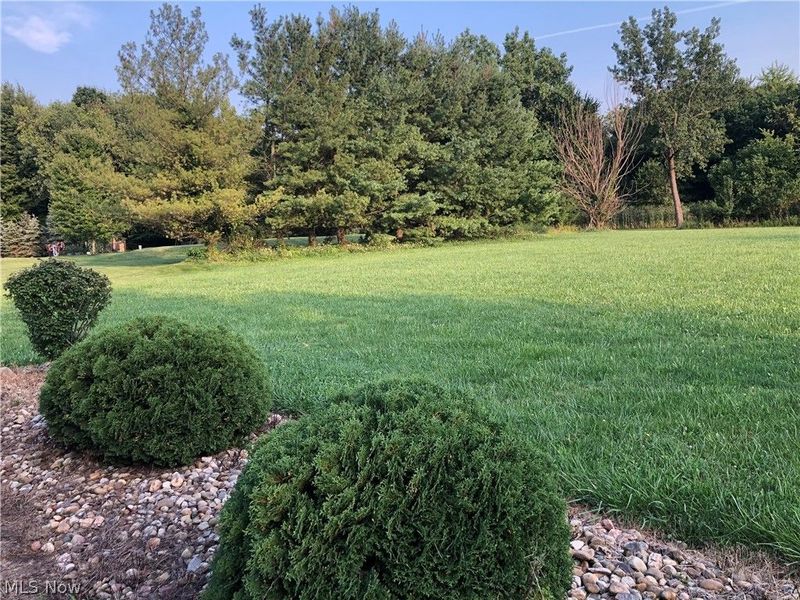 5168 Roxanne Lane, Brunswick, OH 44212 Photo 44