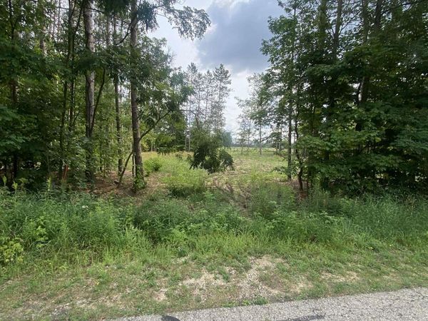413 Maplebrooke Lane, Cadillac, MI 49601