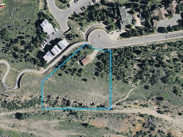 889 E Anemone Trail, Dillon, CO 80435