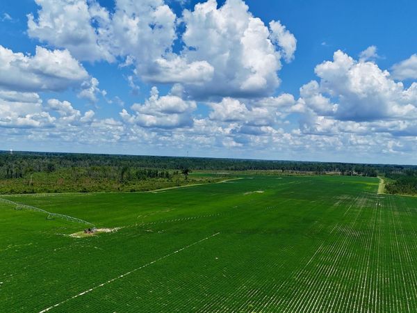 0 Highway 32, Alma, GA 31510