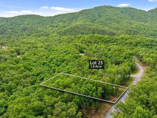 Lot 25 Crestview Point, Mineral Bluff, GA 30559