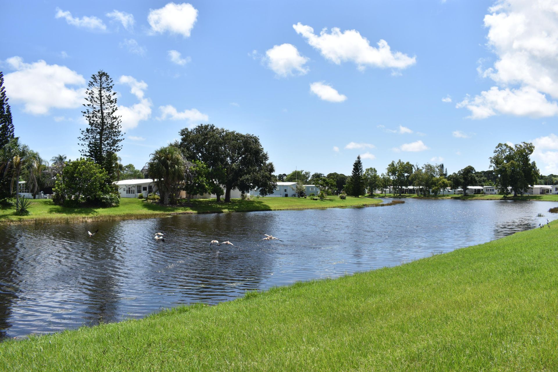 5 W Caribbean, Port Saint Lucie, FL 34952 Photo