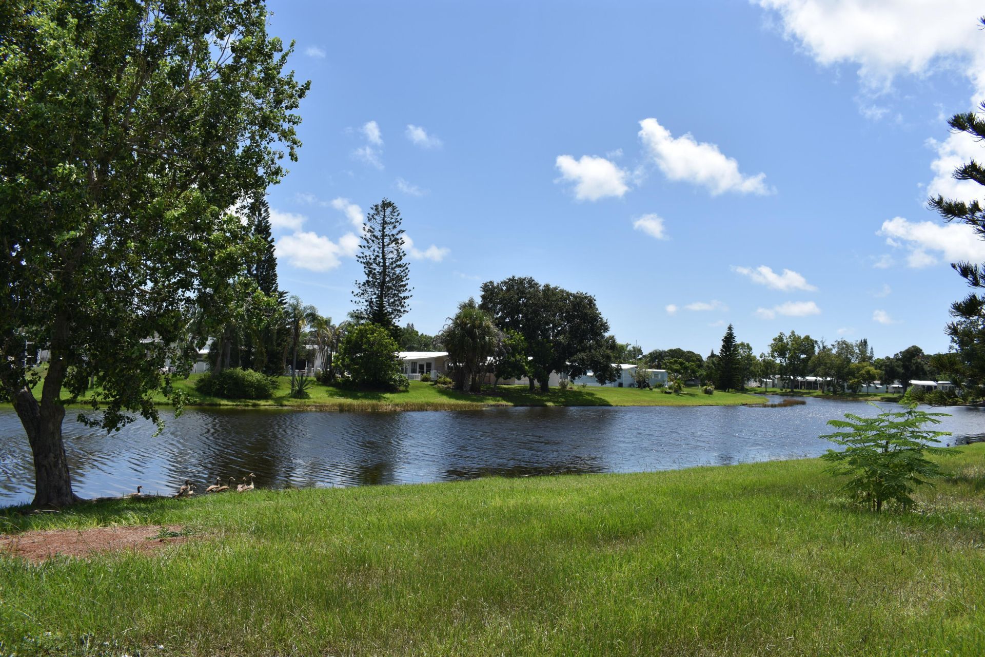 5 W Caribbean, Port Saint Lucie, FL 34952 Photo