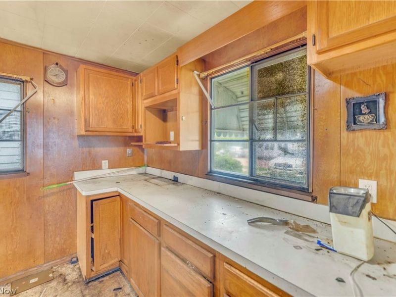12518 Leeila Avenue, Cleveland, OH 44135 Photo 8
