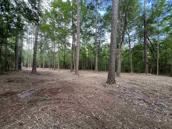 xx Chaff Chason Lane, Quincy, FL 32352