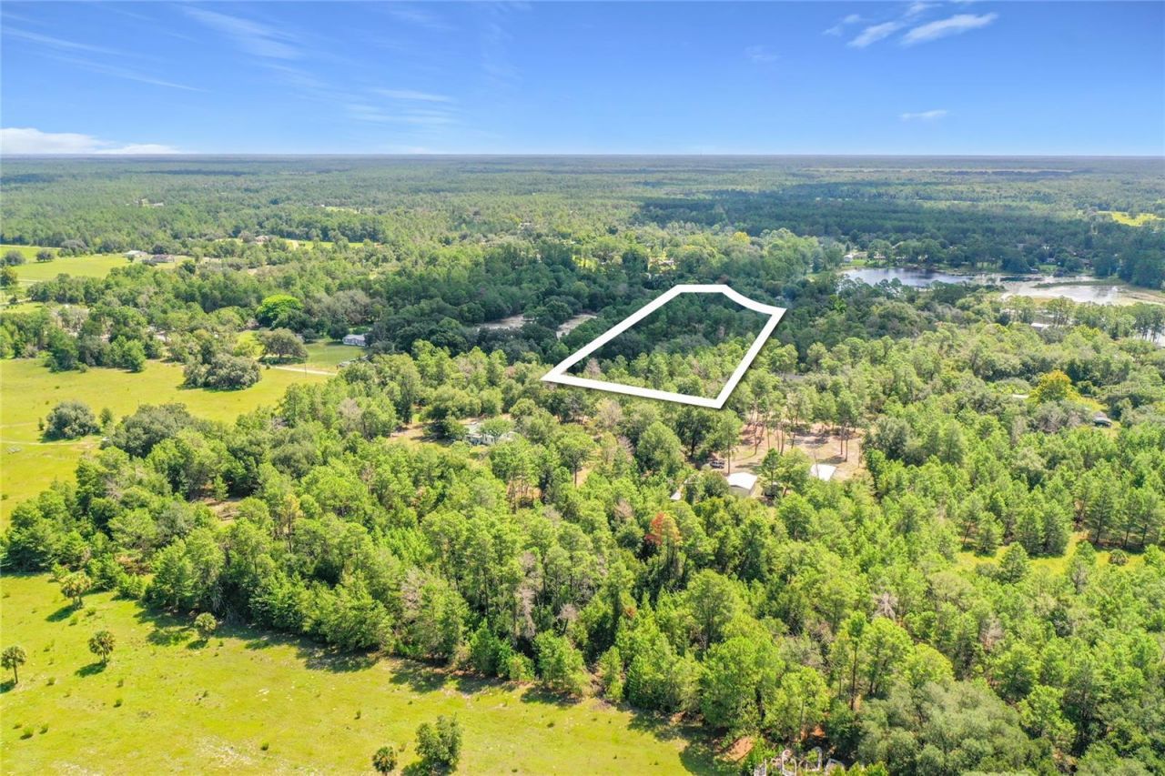 41945 Pine Valley Drive , Paisley, FL 32767 Photo