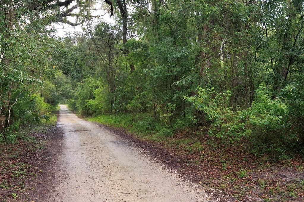 0 Lucilles Shady Lane , Nobleton, FL 34661 Photo