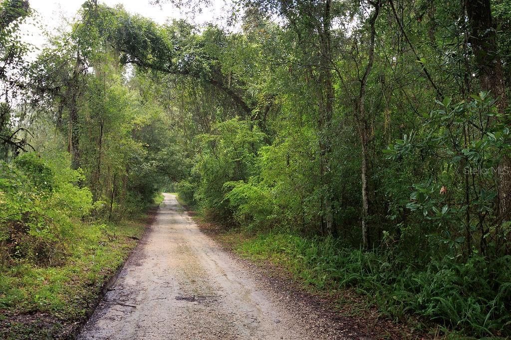 0 Lucilles Shady Lane , Nobleton, FL 34661 Photo