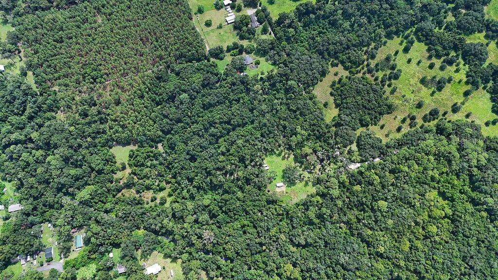 0 Lucilles Shady Lane , Nobleton, FL 34661 Photo