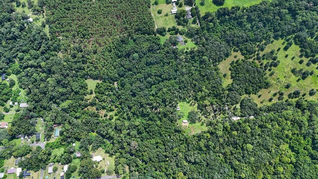 0 Lucilles Shady Lane , Nobleton, FL 34661 Photo