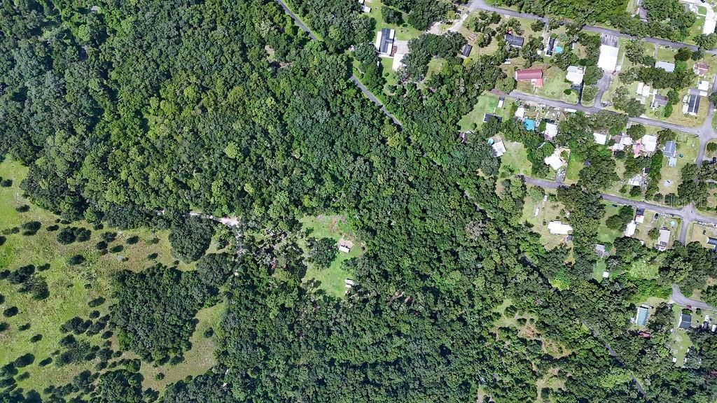0 Lucilles Shady Lane , Nobleton, FL 34661 Photo