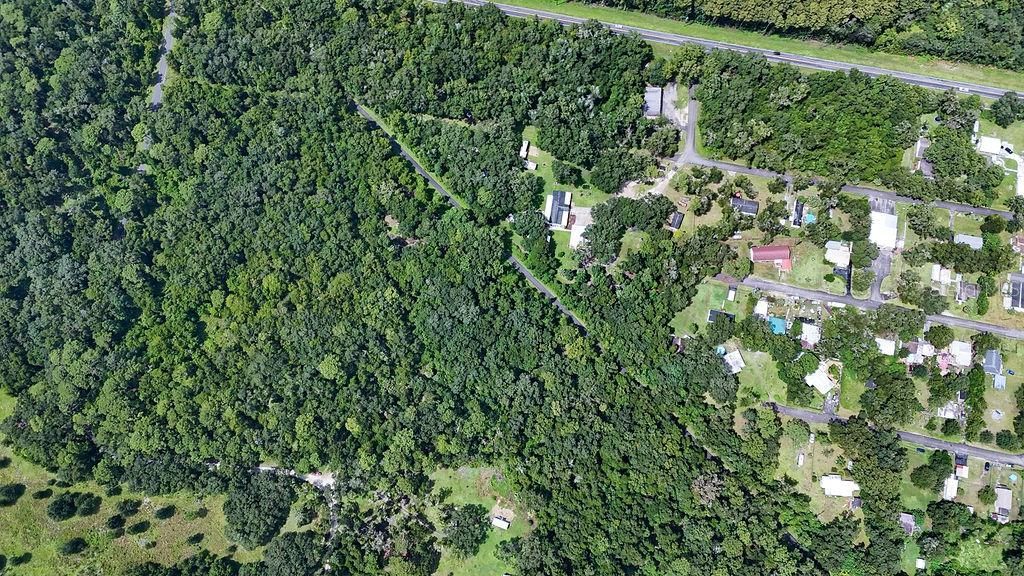 0 Lucilles Shady Lane , Nobleton, FL 34661 Photo