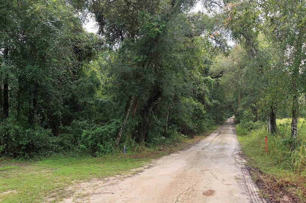 0 Lucilles Shady Lane , Nobleton, FL 34661 Photo