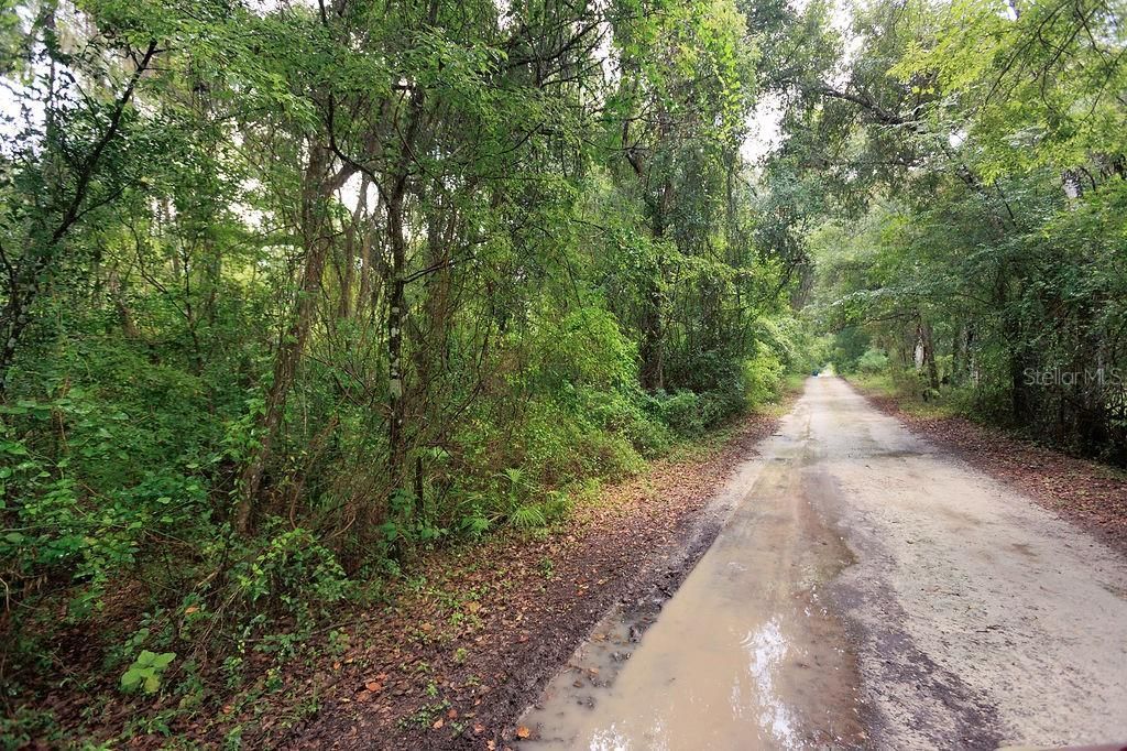 0 Lucilles Shady Lane , Nobleton, FL 34661 Photo