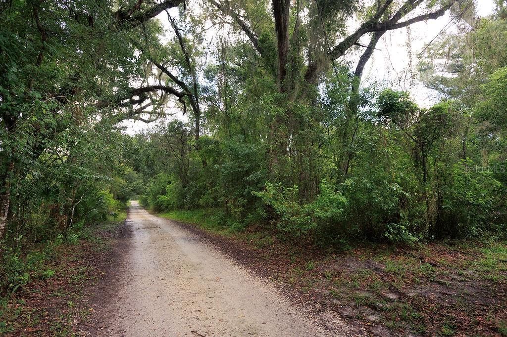 0 Lucilles Shady Lane , Nobleton, FL 34661 Photo