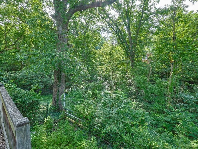 558 Missouri Avenue, Cincinnati, OH 45226 Photo 28