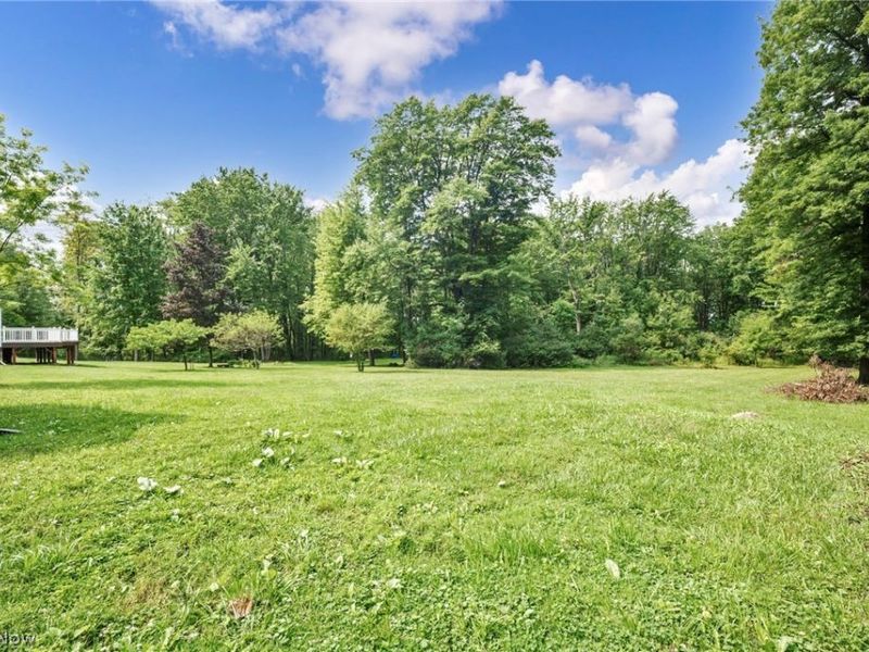 13508 Chillicothe Road, Novelty, OH 44072 Photo 23