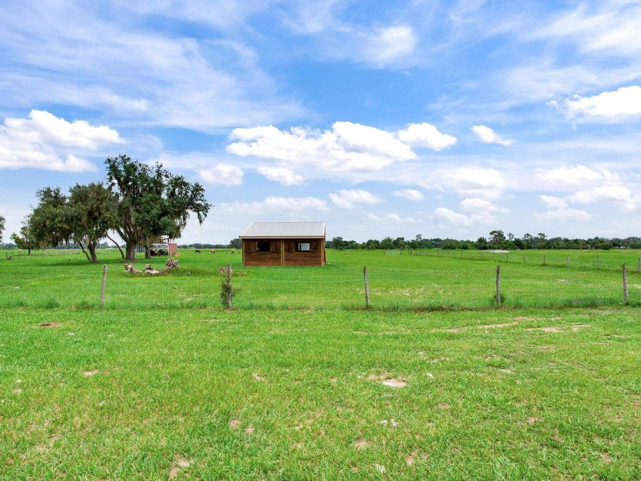 9111 Lake Buffum Road N, Fort Meade, FL 33841 Photo