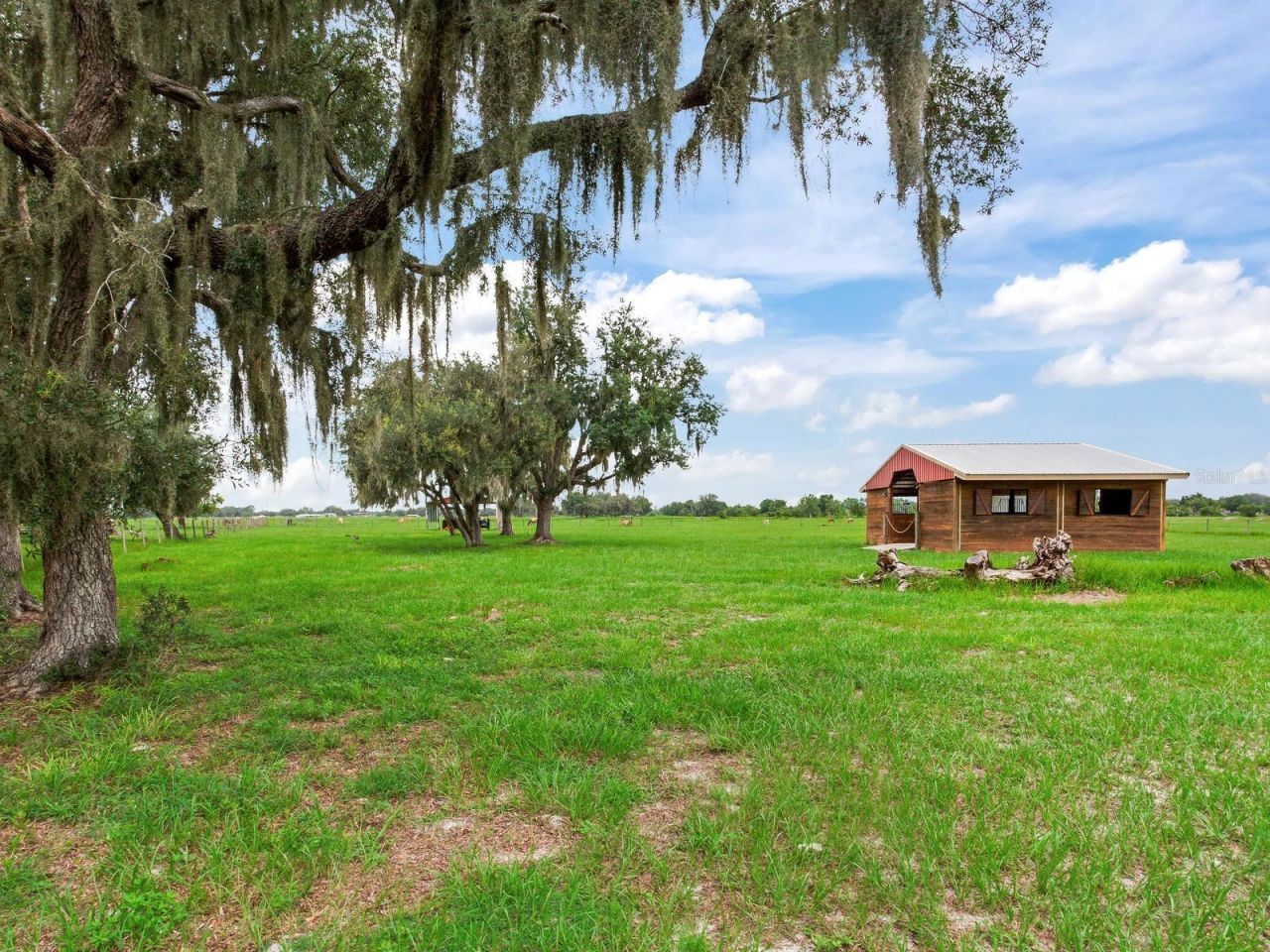 9111 Lake Buffum Road N, Fort Meade, FL 33841 Photo