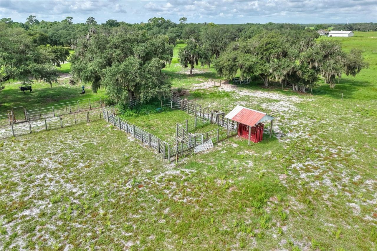 9111 Lake Buffum Road N, Fort Meade, FL 33841 Photo