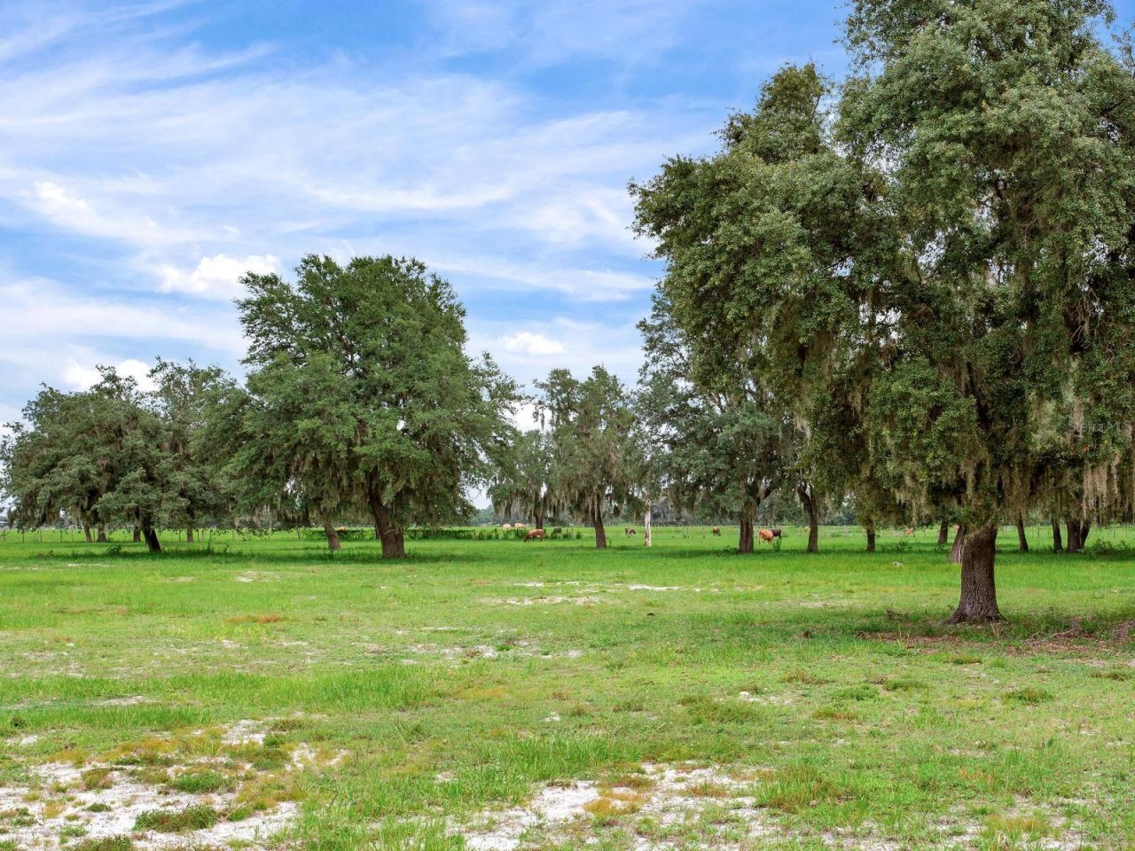 9111 Lake Buffum Road N, Fort Meade, FL 33841 Photo