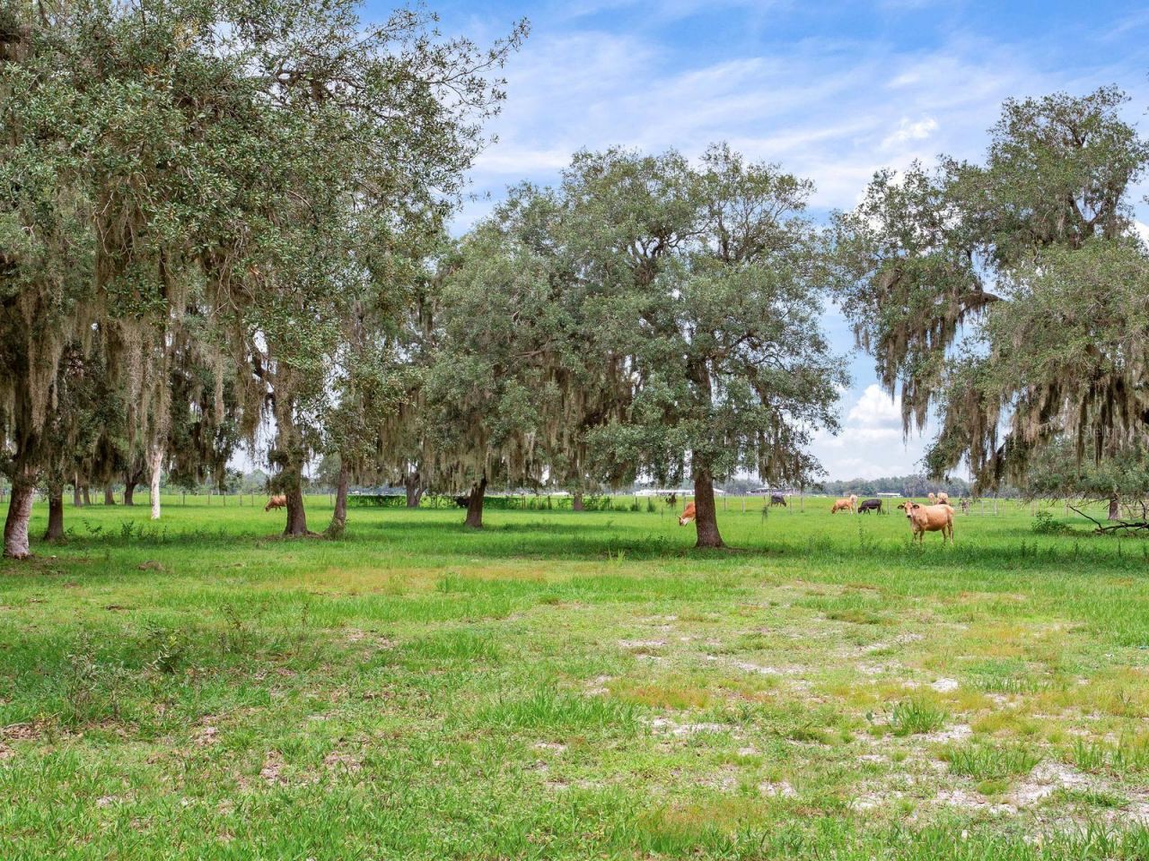 9111 Lake Buffum Road N, Fort Meade, FL 33841 Photo
