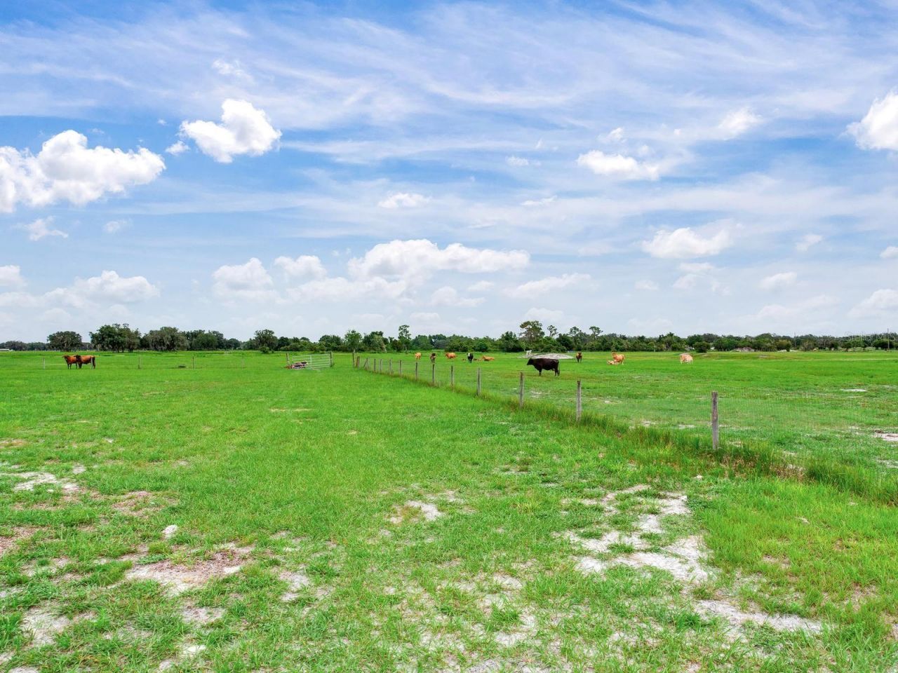 9111 Lake Buffum Road N, Fort Meade, FL 33841 Photo