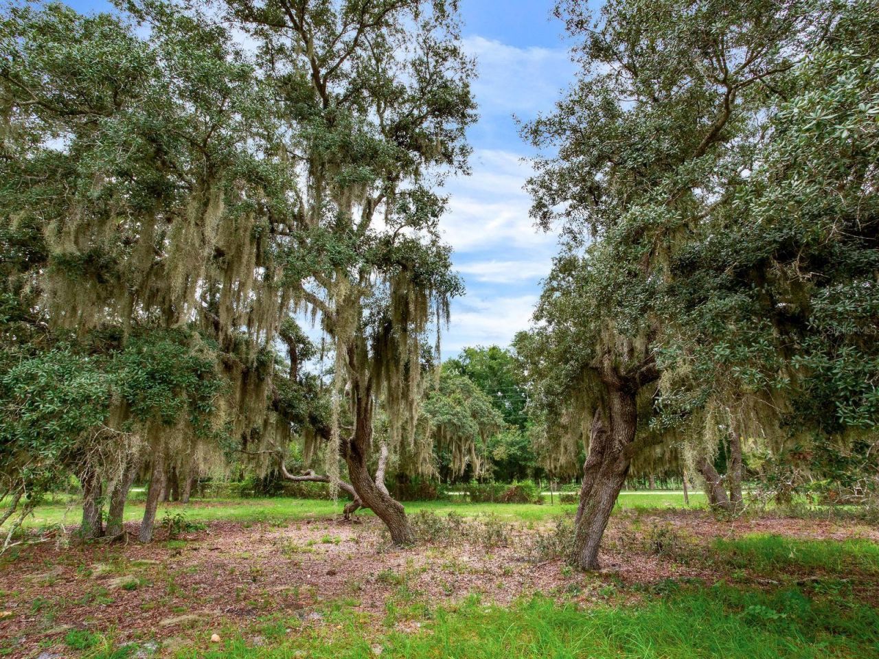 9111 Lake Buffum Road N, Fort Meade, FL 33841 Photo
