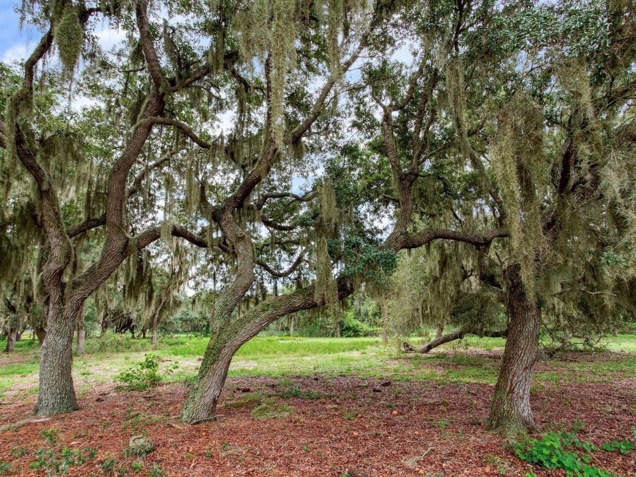 9111 Lake Buffum Road N, Fort Meade, FL 33841 Photo