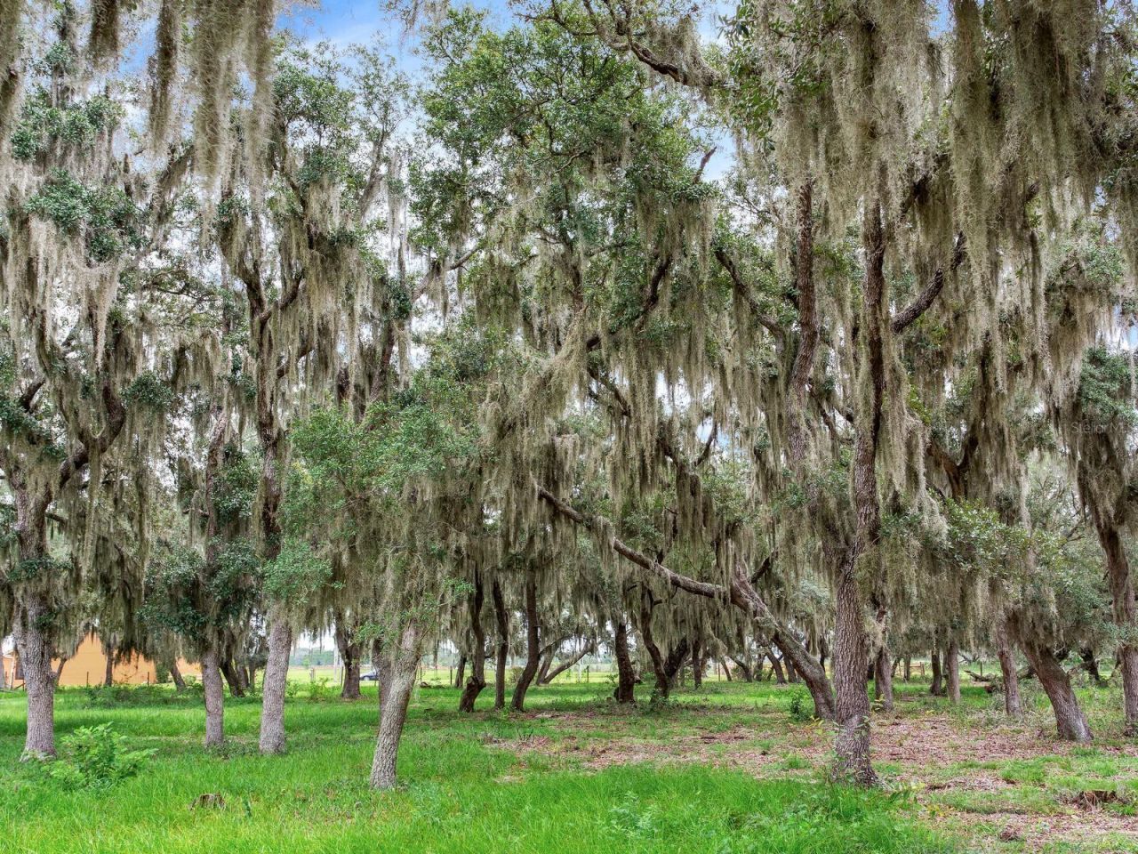 9111 Lake Buffum Road N, Fort Meade, FL 33841 Photo