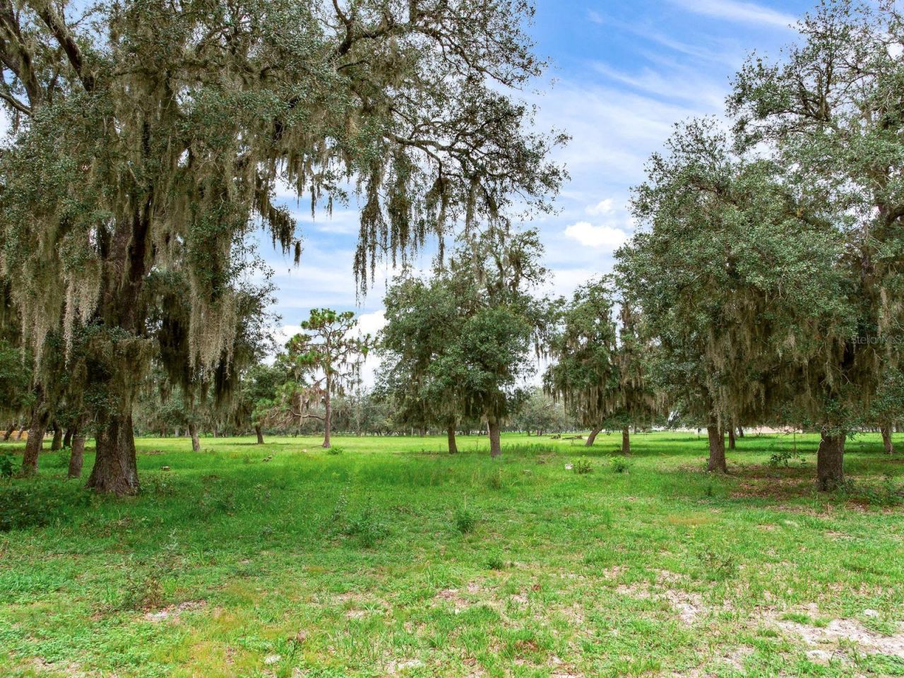 9111 Lake Buffum Road N, Fort Meade, FL 33841 Photo