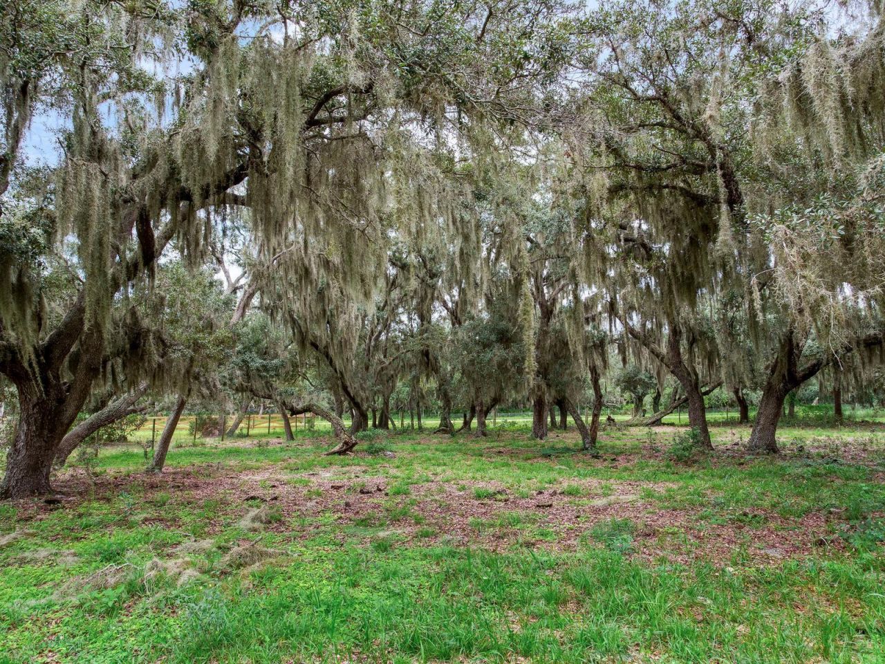 9111 Lake Buffum Road N, Fort Meade, FL 33841 Photo