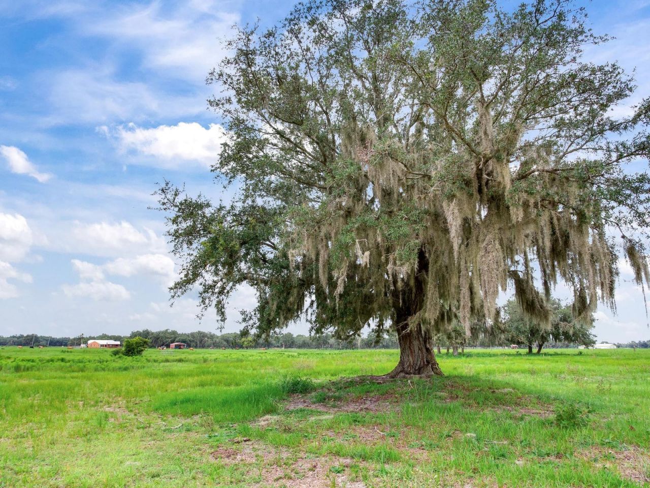 9111 Lake Buffum Road N, Fort Meade, FL 33841 Photo