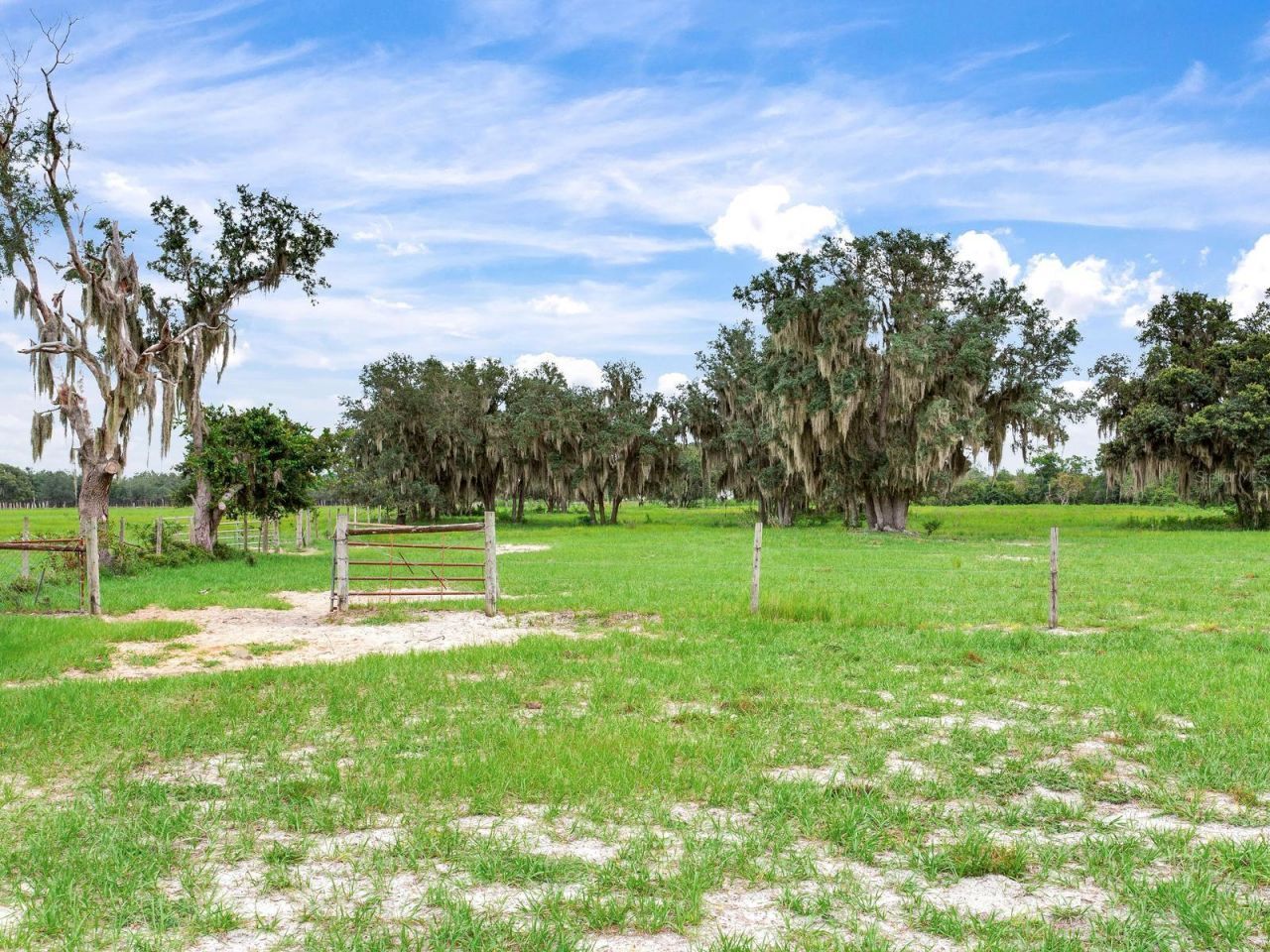 9111 Lake Buffum Road N, Fort Meade, FL 33841 Photo