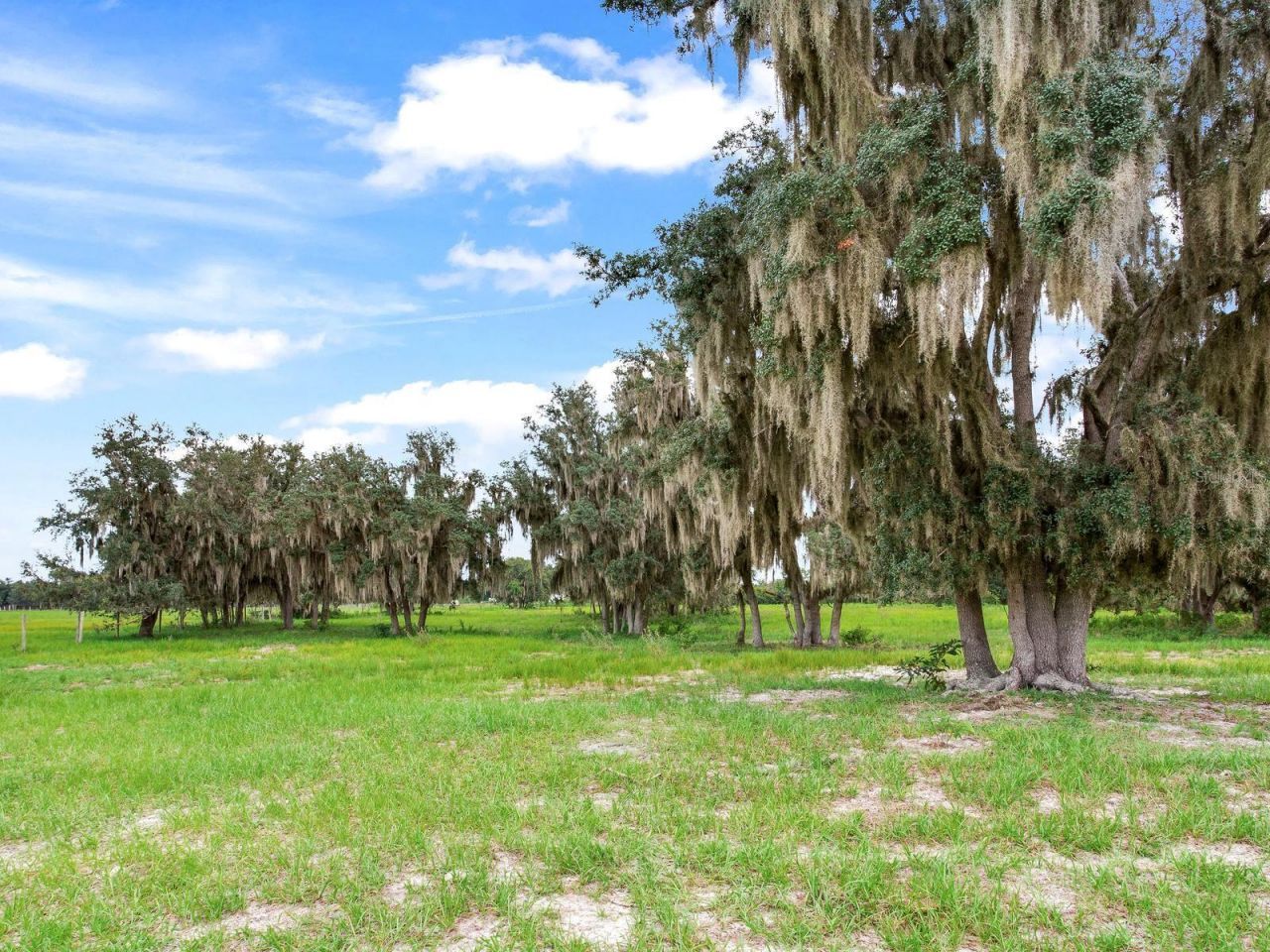 9111 Lake Buffum Road N, Fort Meade, FL 33841 Photo