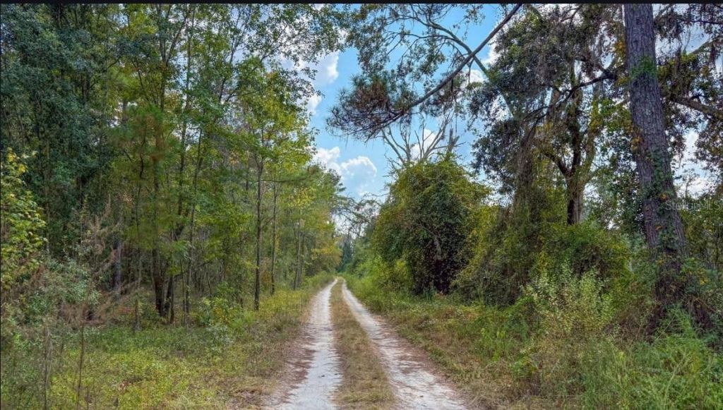 Tbd Lot 35 SE Us 41 Highway , White Springs, FL 32096 Photo