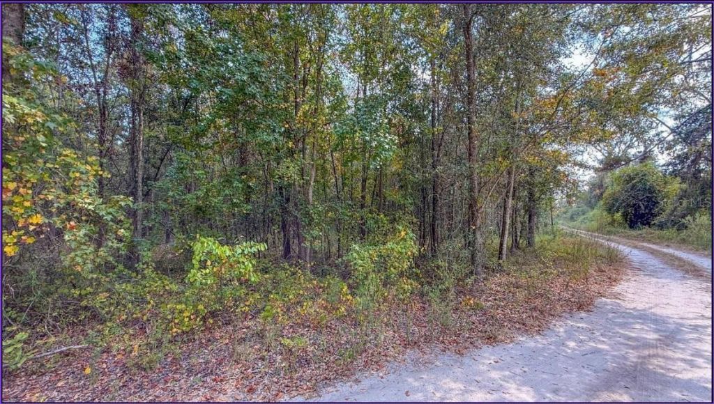 Tbd Lot 35 SE Us 41 Highway , White Springs, FL 32096 Photo