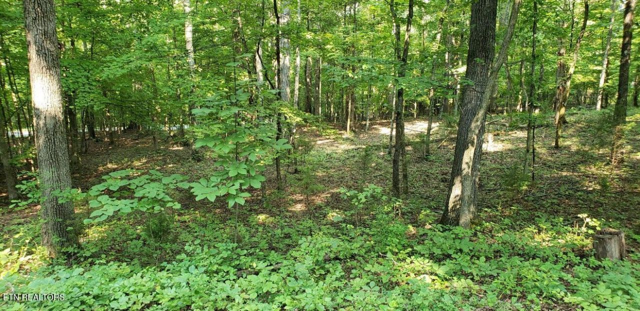 244 Gadusi Way, Loudon, TN 37774 Main Photo