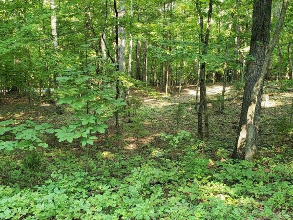 244 Gadusi Way, Loudon, TN 37774