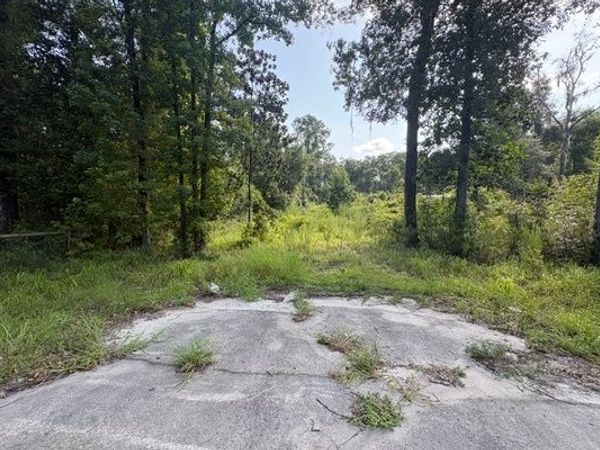 LOT16 SW NEWARK DR., Fort White, FL 32008