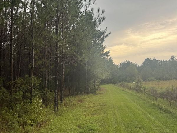 1351 Rogers Road, Glennville, GA 30427