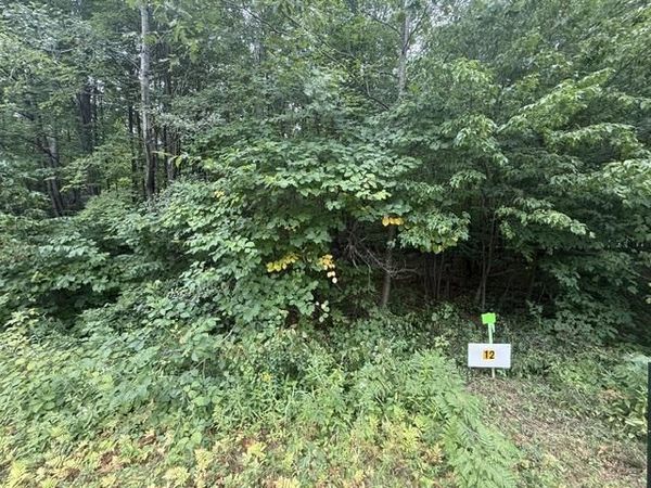 Lot 12 BURMA ROAD, Mosinee, WI 54455