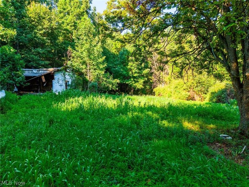 9982 SW Erie Avenue, Beach City, OH 44608 Photo 22