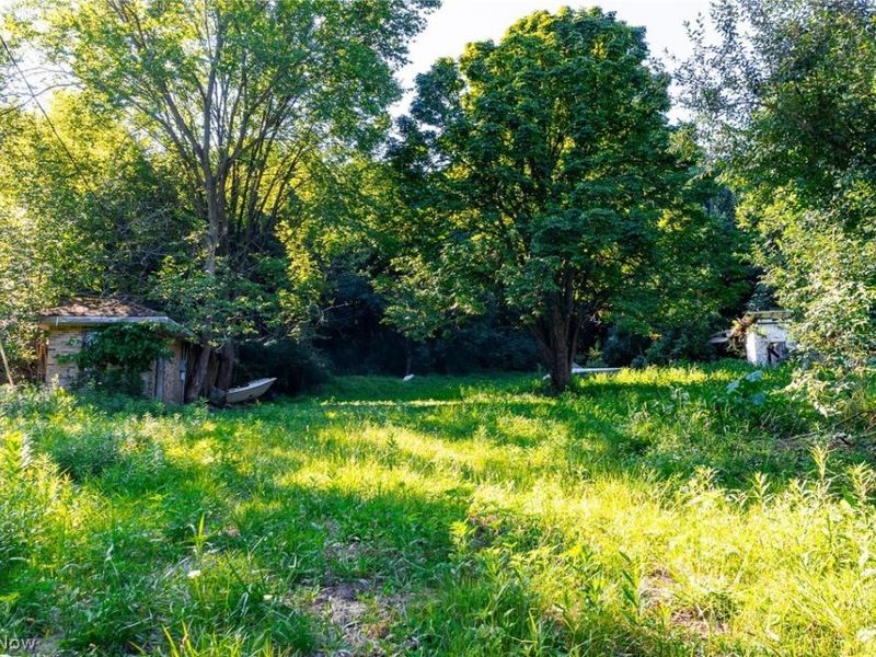 9982 SW Erie Avenue, Beach City, OH 44608 Photo 8