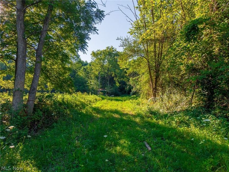 9982 SW Erie Avenue, Beach City, OH 44608 Photo 9